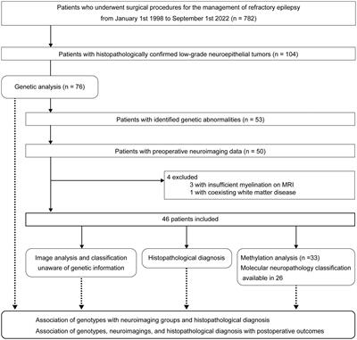 Genotype-relevant neuroimaging features in low-grade epilepsy-associated tumors